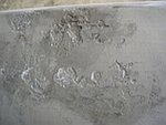 DSCN1443.JPG