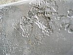 DSCN1444.JPG