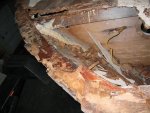 damage 005.jpg