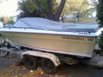 1978 Chaparral.jpg