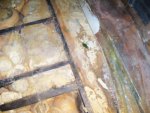 100_0711.jpg