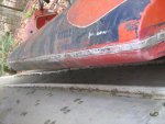 IMG_1196.jpg
