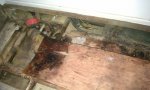 boat pics 035.jpg