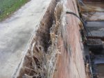 DSCF5051.jpg