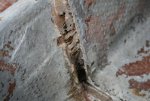 IMG_5412.jpg