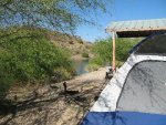 camp8.jpg