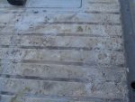 DSC00346DSC00346.jpg