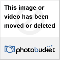 IMG_0371.gif