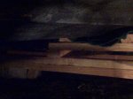 Islip-20120317-00346.jpg