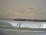 2012-03-19 15.46.58.jpg