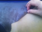 IMAG0680.jpg