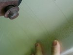 2012-03-30 12.20.31.jpg