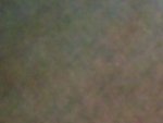 100_0118.JPG
