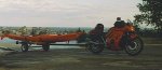 23652491-L.jpg
