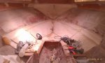IMAG0959.jpg