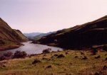 Conine island5.jpg