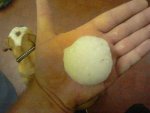 2012-06-079521.00.13.jpg
