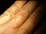 IMG-20120614-00126.jpg