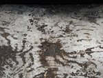 deckrestore3.jpg