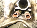 Water lines2.jpg