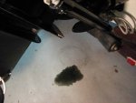puddle.JPG
