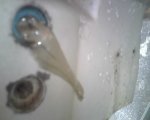 IMG00080.jpg