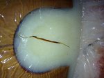 my latest iphone 3g pics 010.jpg