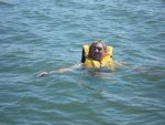 DSC04162.JPG