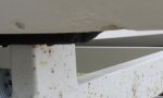 Hull Damage side view- small.jpg