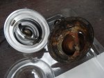 DSC05478.jpg