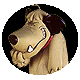 8fl9htv.gif