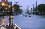Flood n fish.jpg