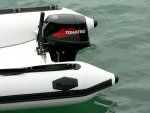 310 Rib-2.JPG