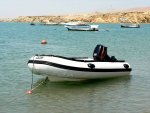 310 Rib-4.JPG