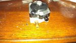 IMAG0409.jpg