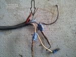 harness.jpg