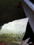 IMG_1179.jpg