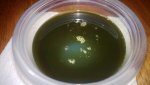 WP_20130506_010.jpg