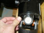 P1110168 - Copy.jpg