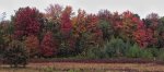 IMG_1595_zpsbc8b05cb.jpg