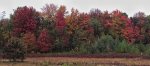 IMG_1595.jpg
