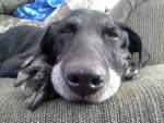 20131017_154833.jpg