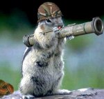 armyranger[1].jpg