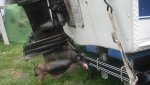 boat trailer rear.jpg