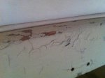 photo201116.jpg