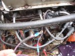 DSC00962-1.jpg
