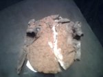 IMG00201.jpg