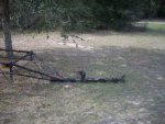 Picture 001.jpg