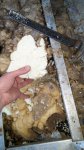 Side Foam Sample.JPG