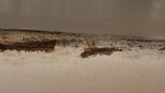 20150424_174701 (1).jpg
